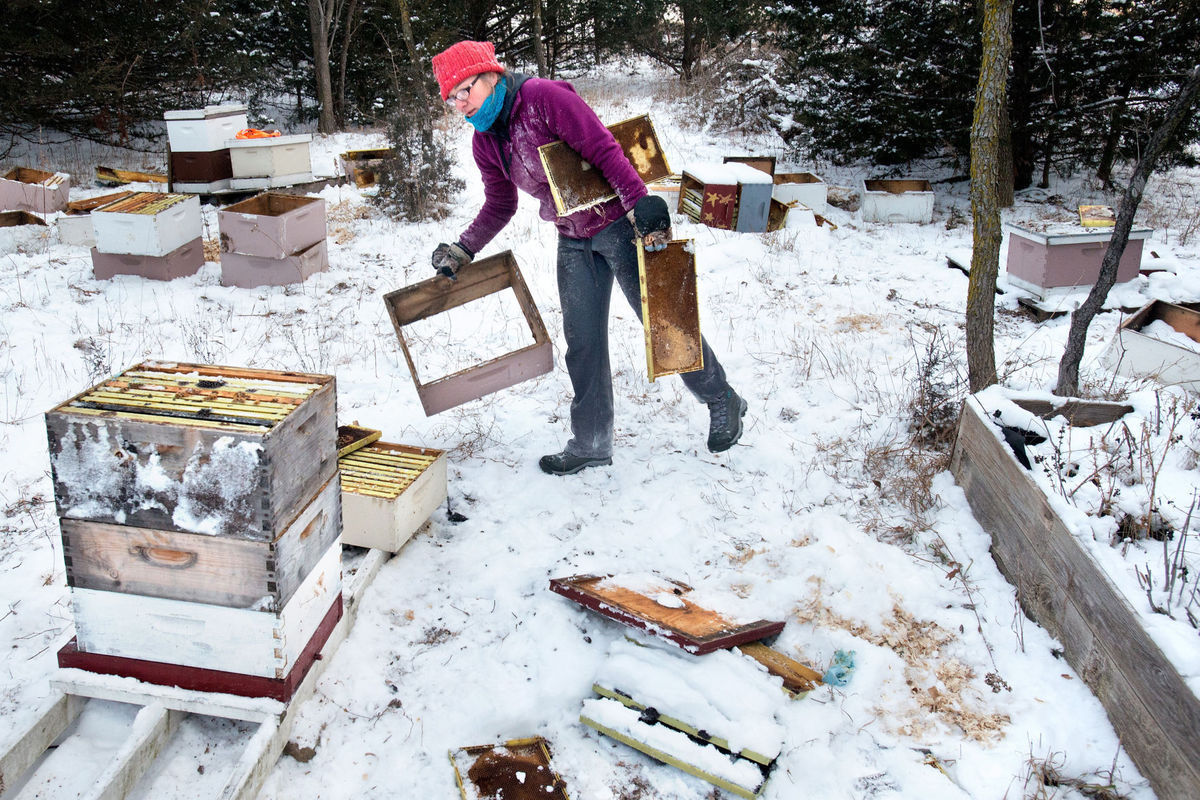 Wild Hill Honey vandalism